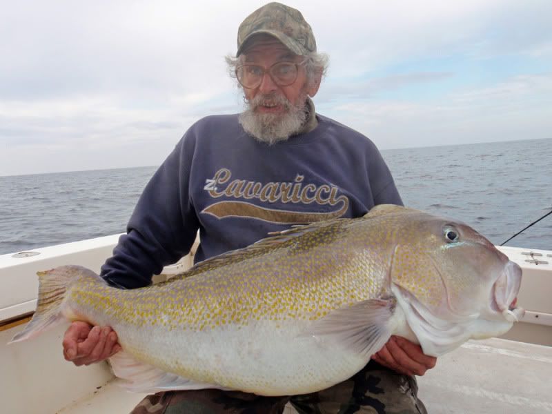 Fishing Report Goldens, Bluelines, Grouper, Wreckfish